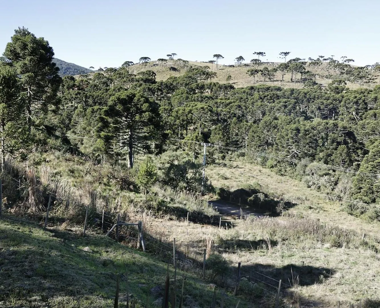 Refugio De Altitude Βίλα Urupema